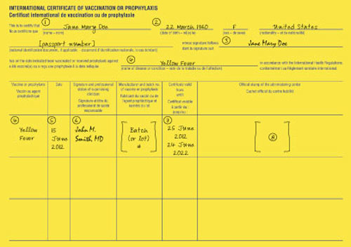 Yellow Fever Vaccine